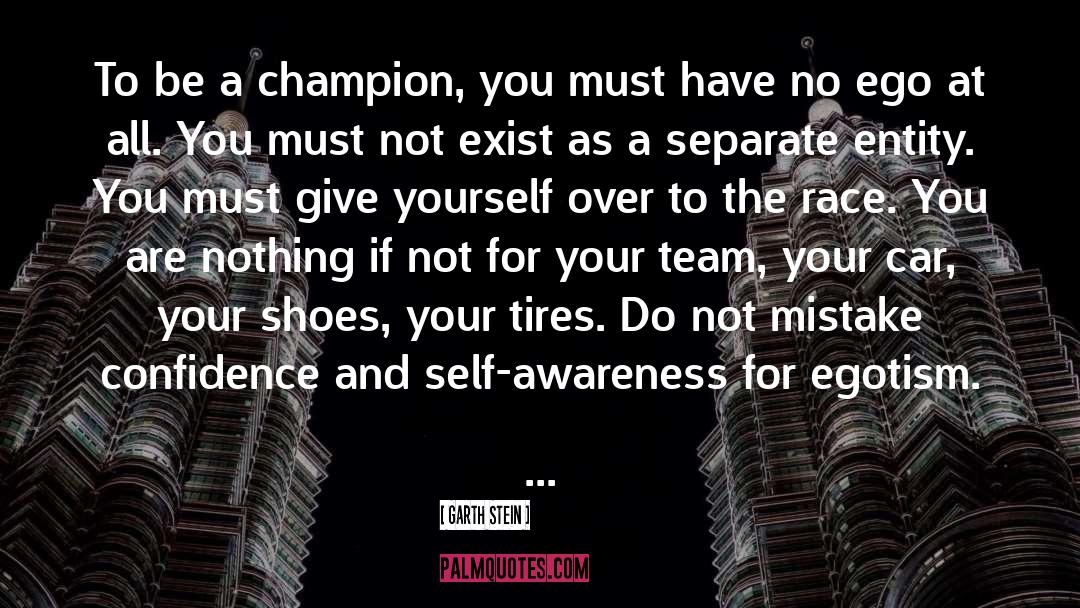 Garth Stein Quotes: To be a champion, you