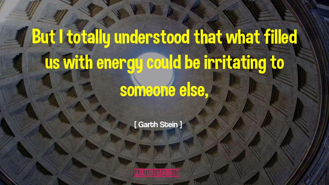 Garth Stein Quotes: But I totally understood that
