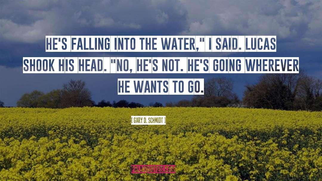 Gary D. Schmidt Quotes: He's falling into the water,