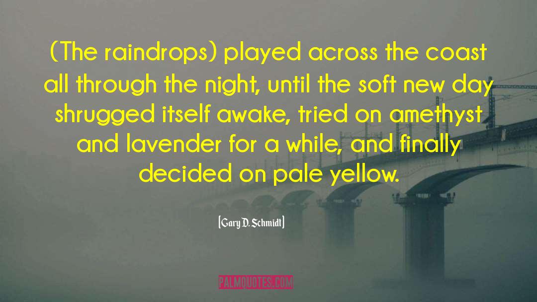 Gary D. Schmidt Quotes: (The raindrops) played across the