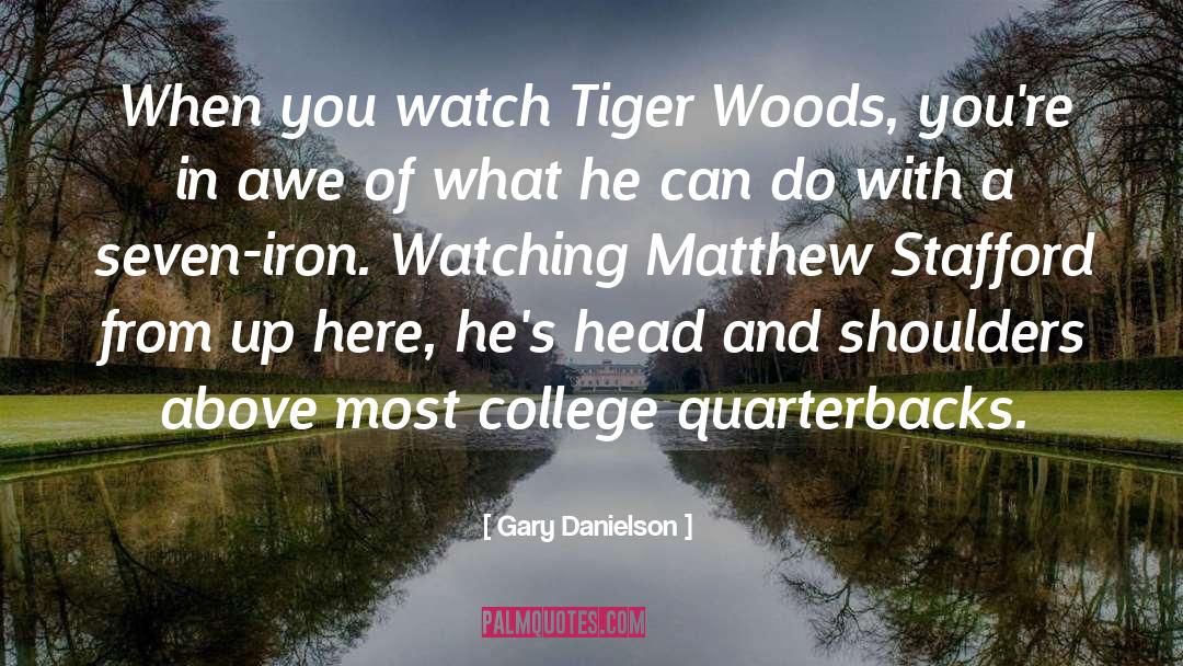 Gary Danielson Quotes: When you watch Tiger Woods,