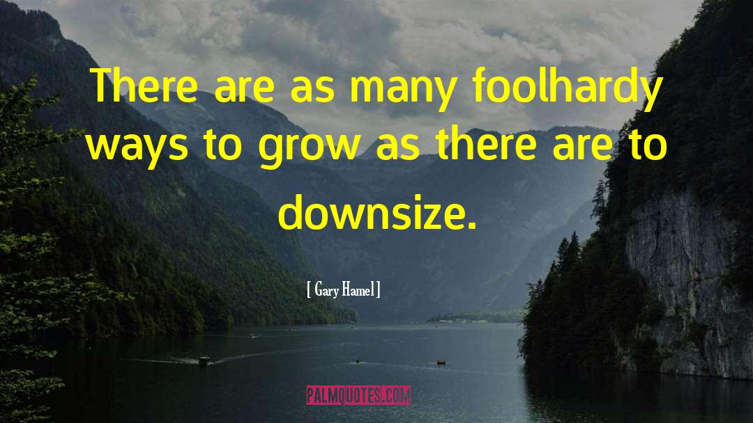 Gary Hamel Quotes: There are as many foolhardy