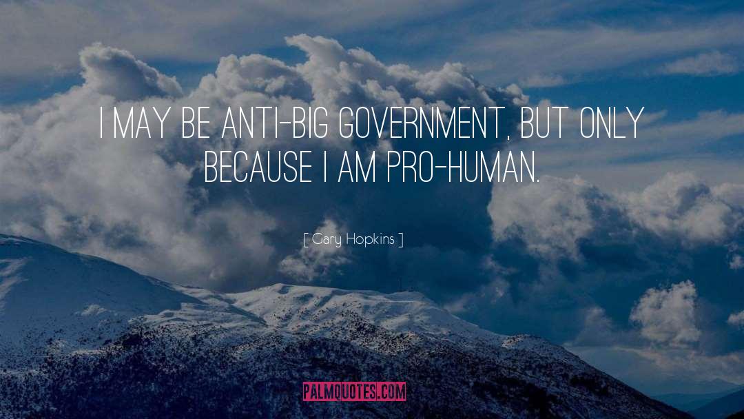 Gary Hopkins Quotes: I may be Anti-Big Government,