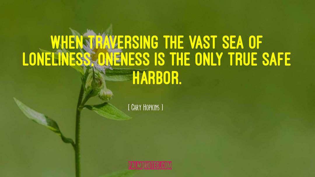 Gary Hopkins Quotes: When traversing the vast sea