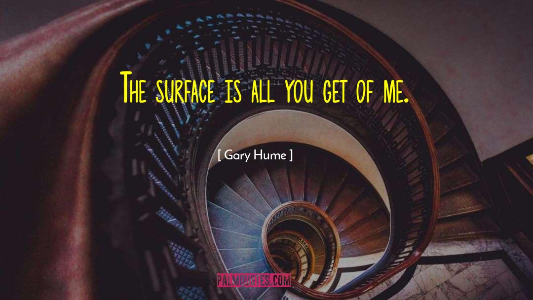 Gary Hume Quotes: The surface is all you