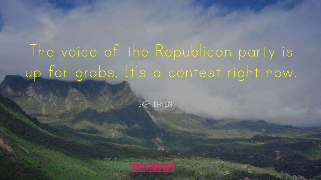 Gary Johnson Quotes: The voice of the Republican