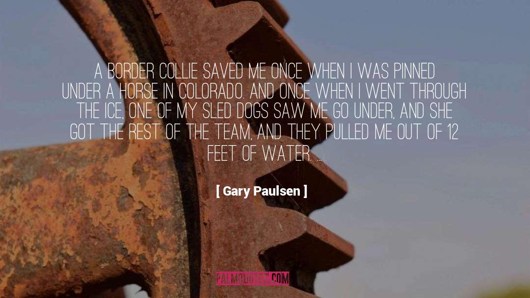 Gary Paulsen Quotes: A border collie saved me