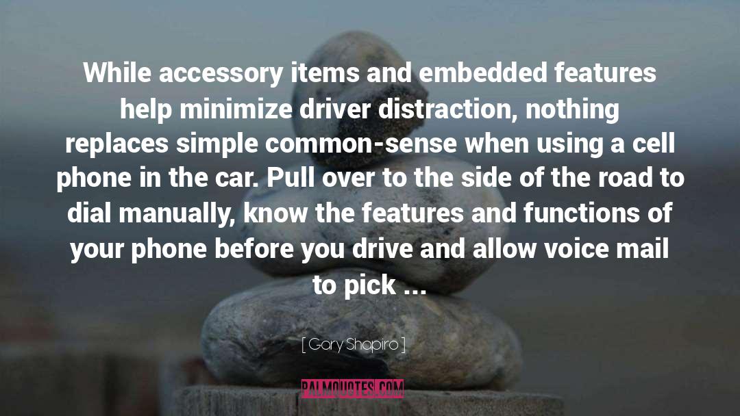 Gary Shapiro Quotes: While accessory items and embedded