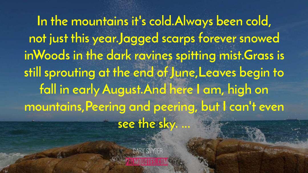 Gary Snyder Quotes: In the mountains it's cold.<br>Always