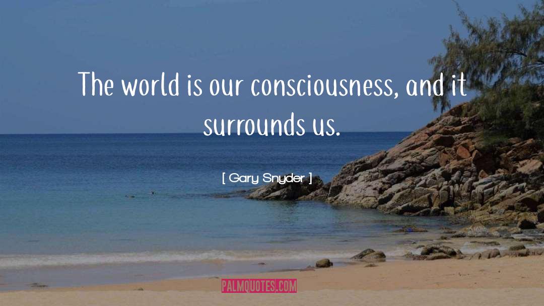 Gary Snyder Quotes: The world is our consciousness,