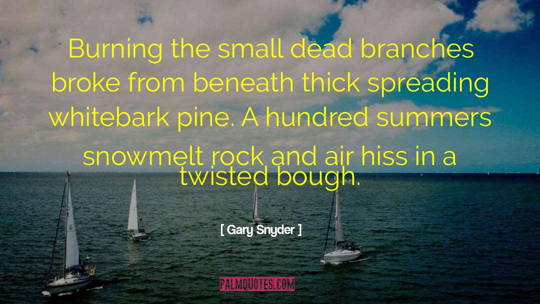 Gary Snyder Quotes: Burning the small dead branches