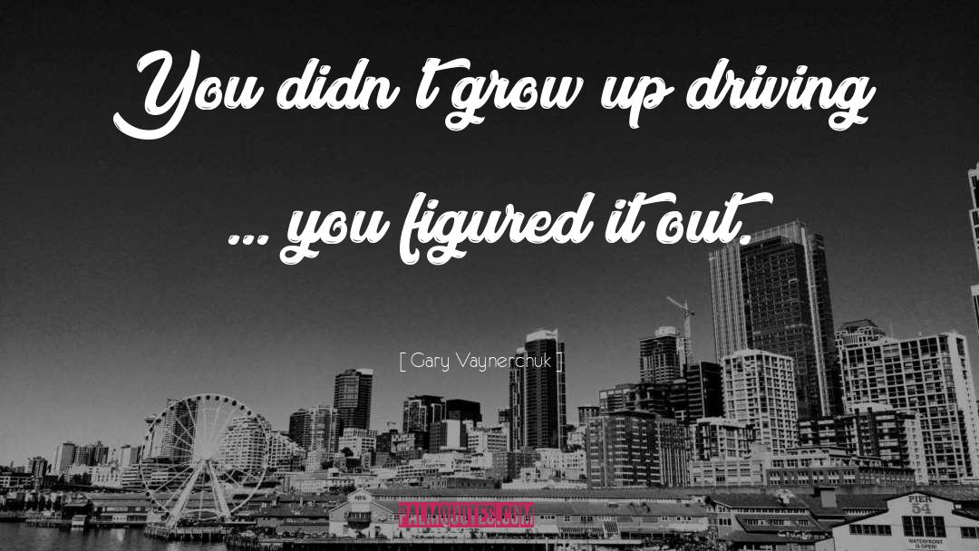 Gary Vaynerchuk Quotes: You didn't grow up driving