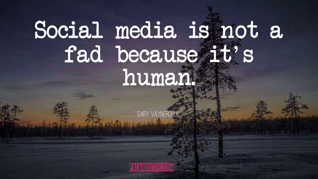 Gary Vaynerchuk Quotes: Social media is not a