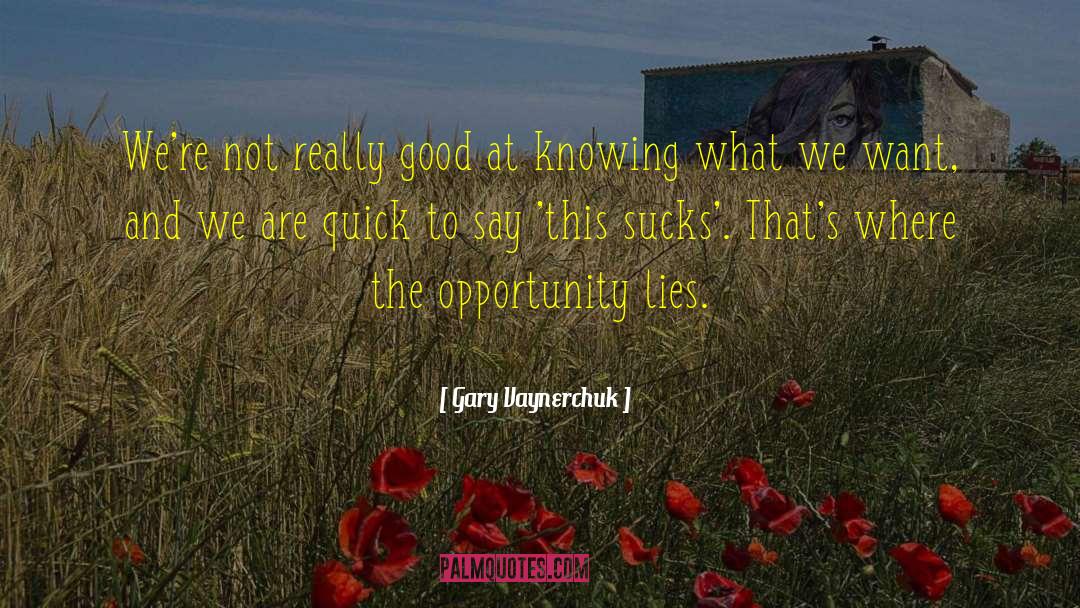 Gary Vaynerchuk Quotes: We're not really good at
