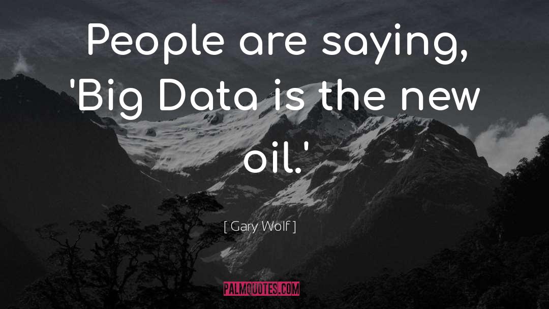 Gary Wolf Quotes: People are saying, 'Big Data