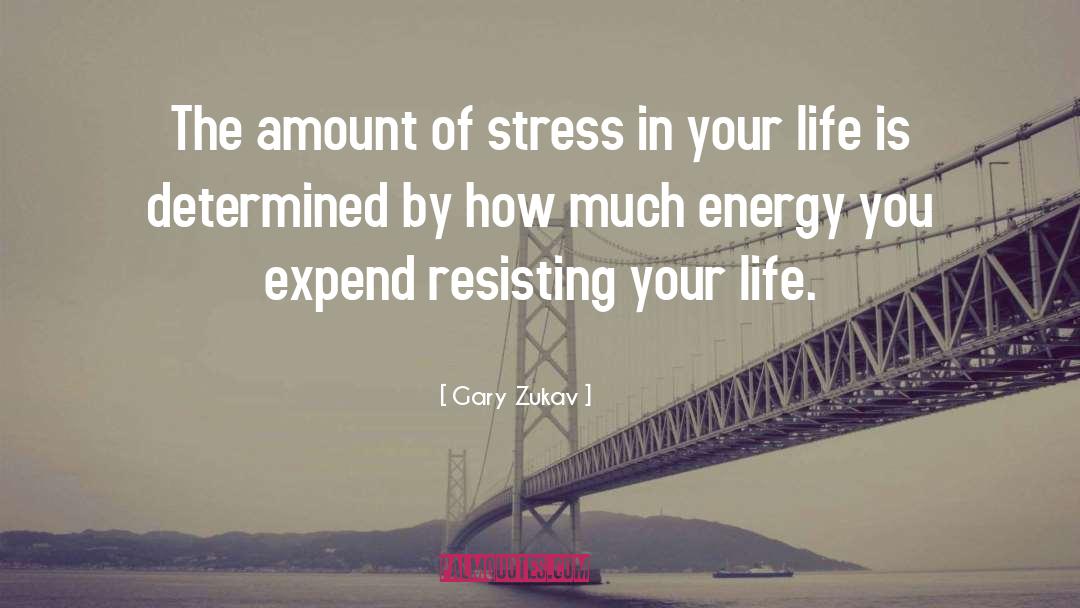 Gary Zukav Quotes: The amount of stress in