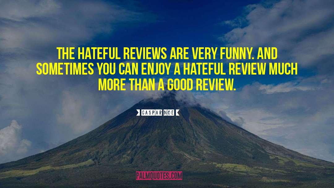 Gaspar Noe Quotes: The hateful reviews are very