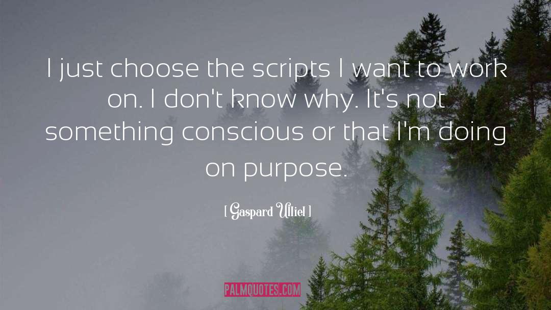 Gaspard Ulliel Quotes: I just choose the scripts