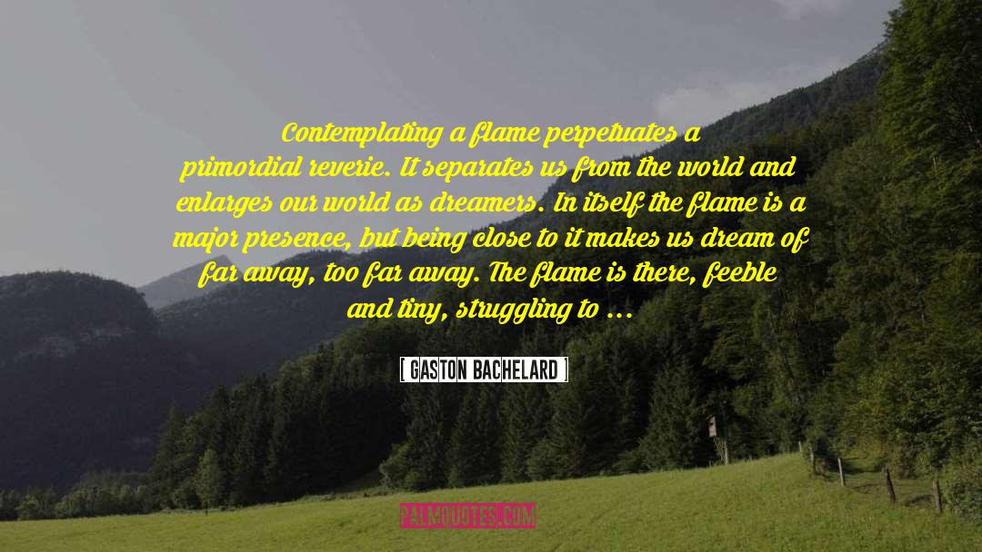 Gaston Bachelard Quotes: Contemplating a flame perpetuates a