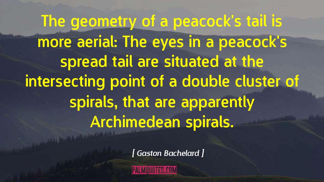 Gaston Bachelard Quotes: The geometry of a peacock's