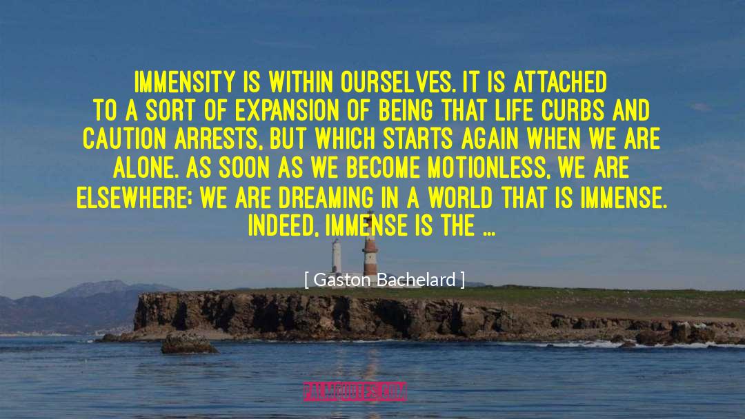 Gaston Bachelard Quotes: Immensity is within ourselves. It