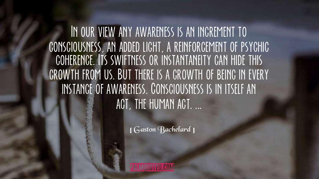 Gaston Bachelard Quotes: In our view any awareness