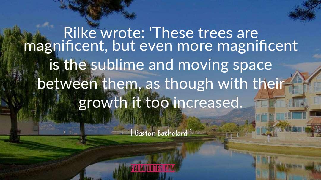 Gaston Bachelard Quotes: Rilke wrote: 'These trees are