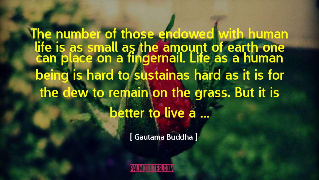 Gautama Buddha Quotes: The number of those endowed