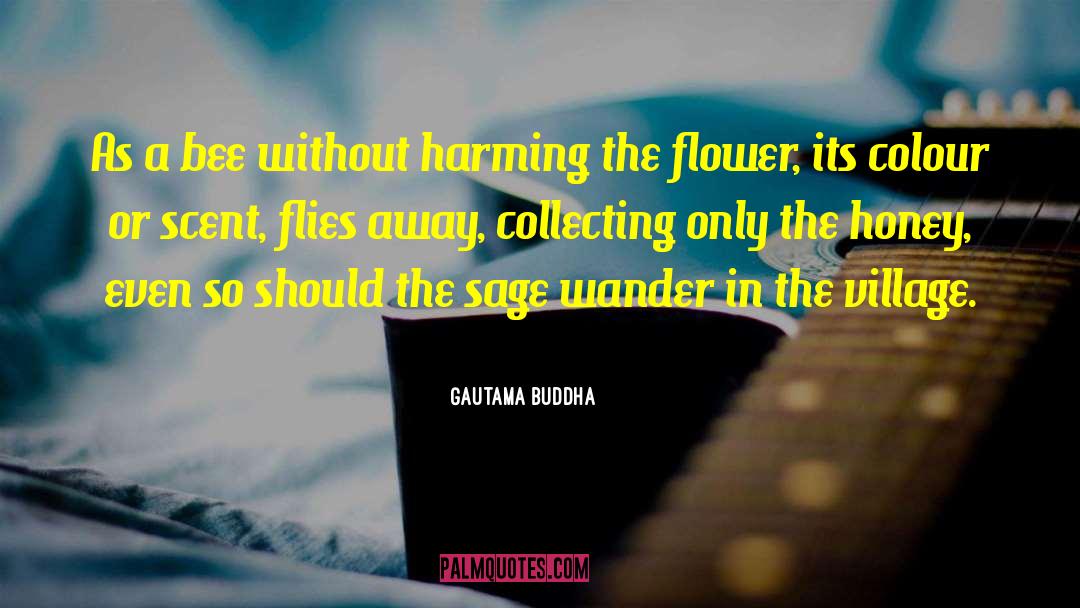 Gautama Buddha Quotes: As a bee without harming