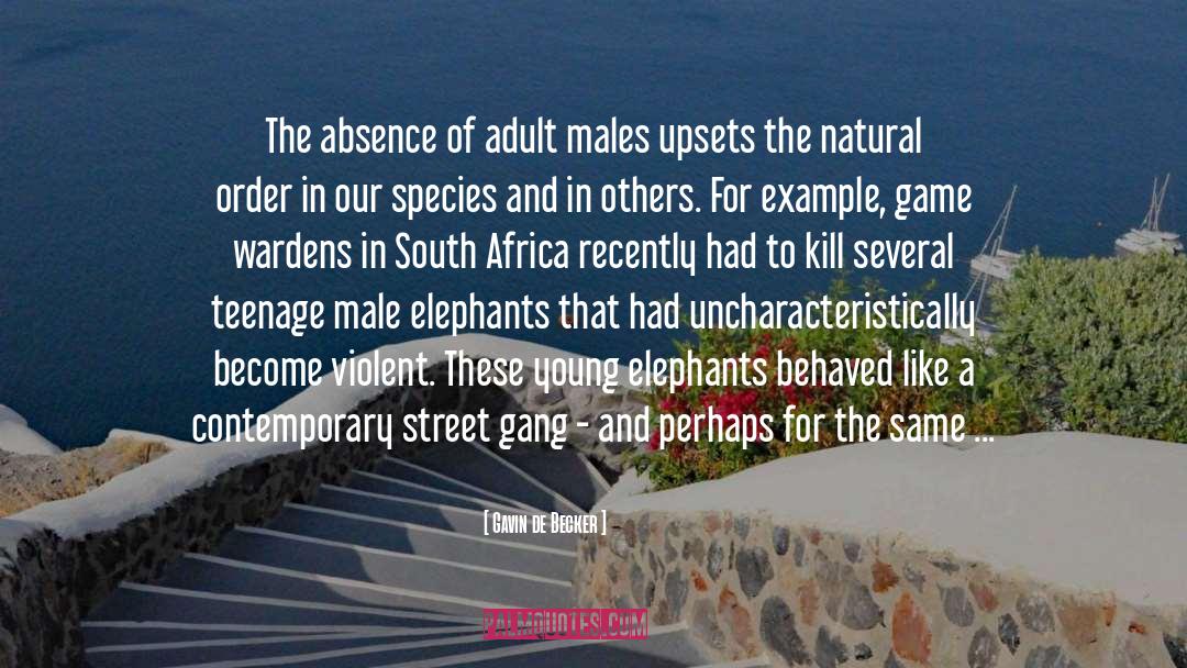 Gavin De Becker Quotes: The absence of adult males