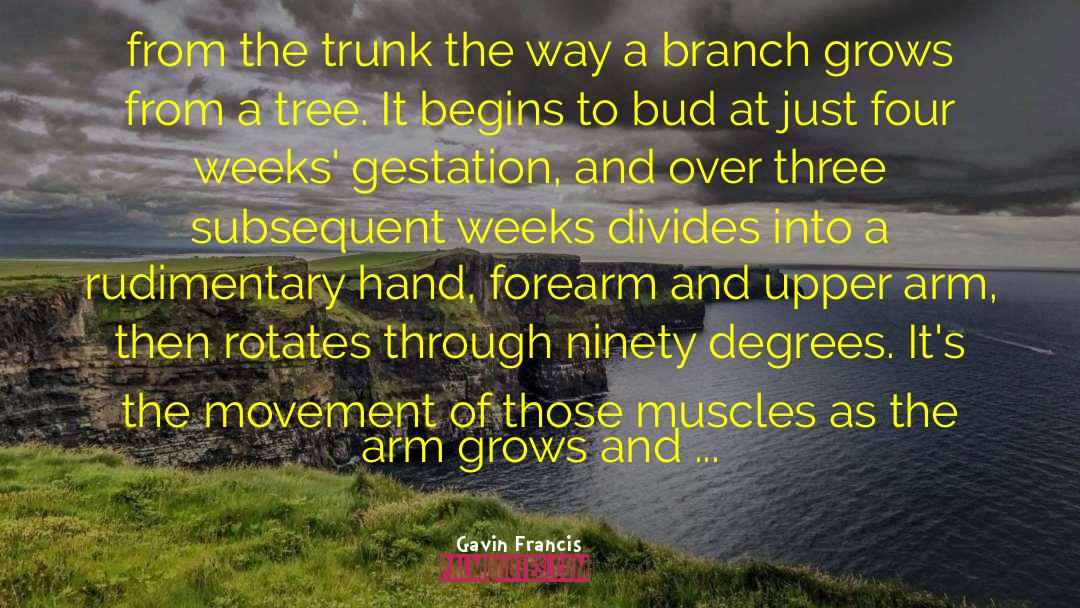 Gavin Francis Quotes: from the trunk the way