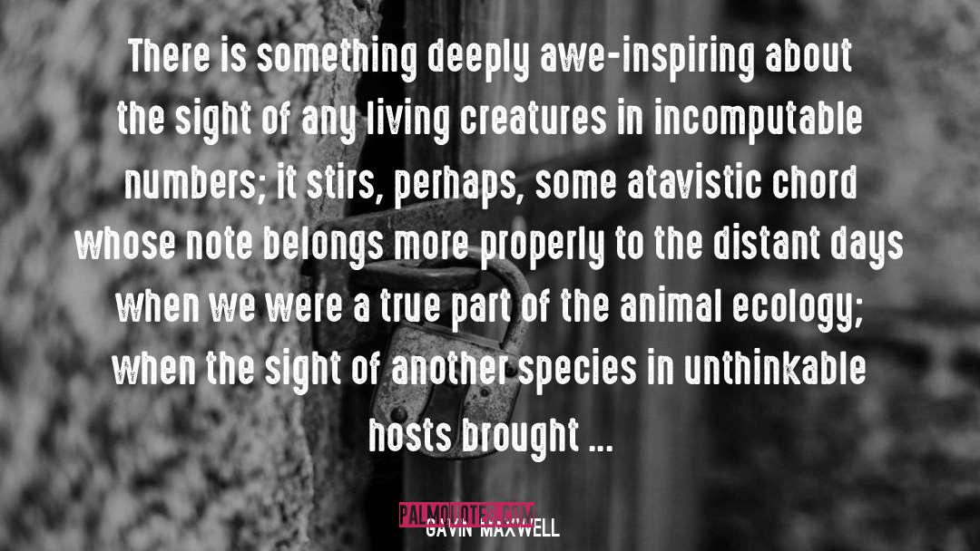Gavin Maxwell Quotes: There is something deeply awe-inspiring