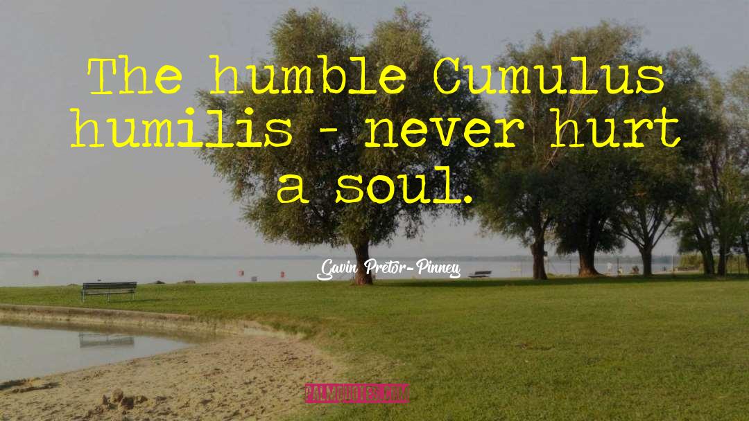 Gavin Pretor-Pinney Quotes: The humble Cumulus humilis -