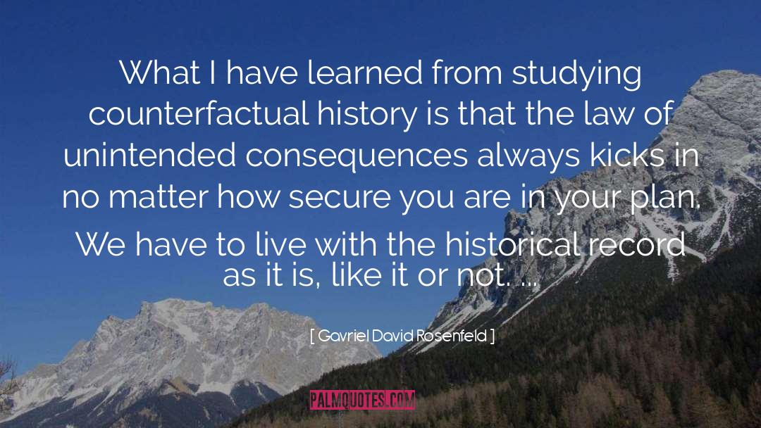 Gavriel David Rosenfeld Quotes: What I have learned from