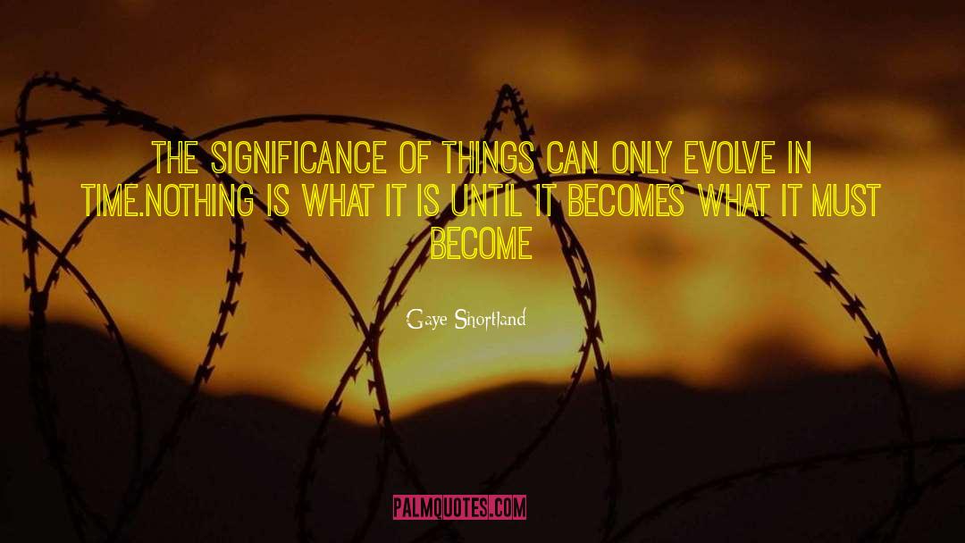 Gaye Shortland Quotes: The significance of things can
