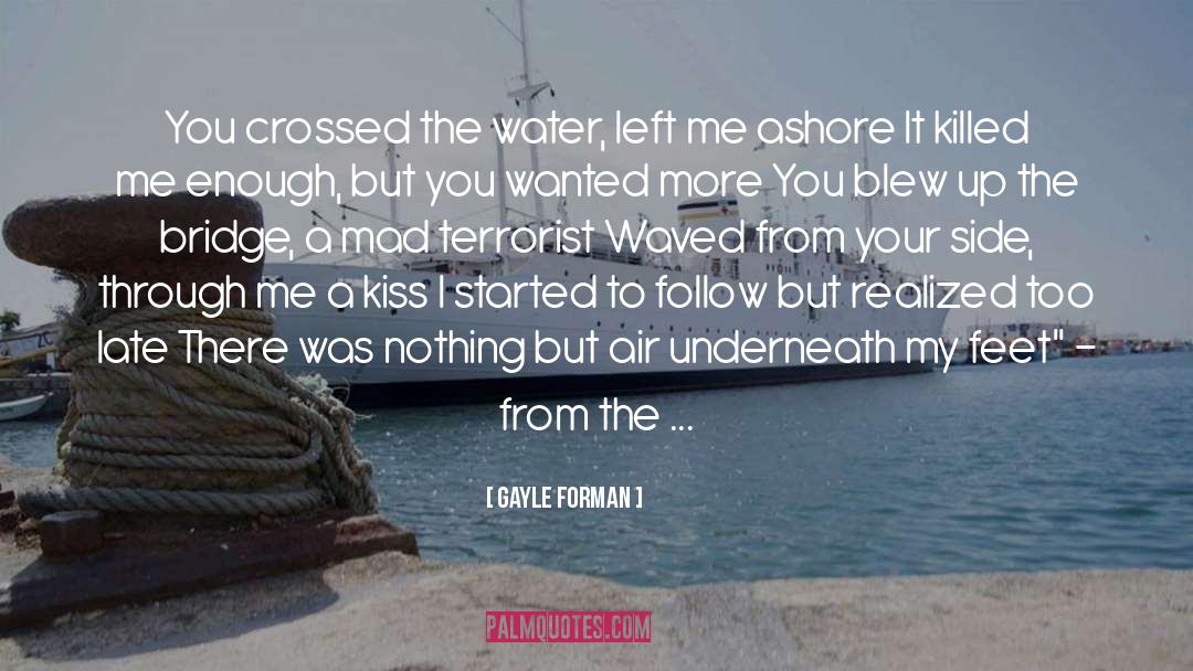 Gayle Forman Quotes: You crossed the water, left