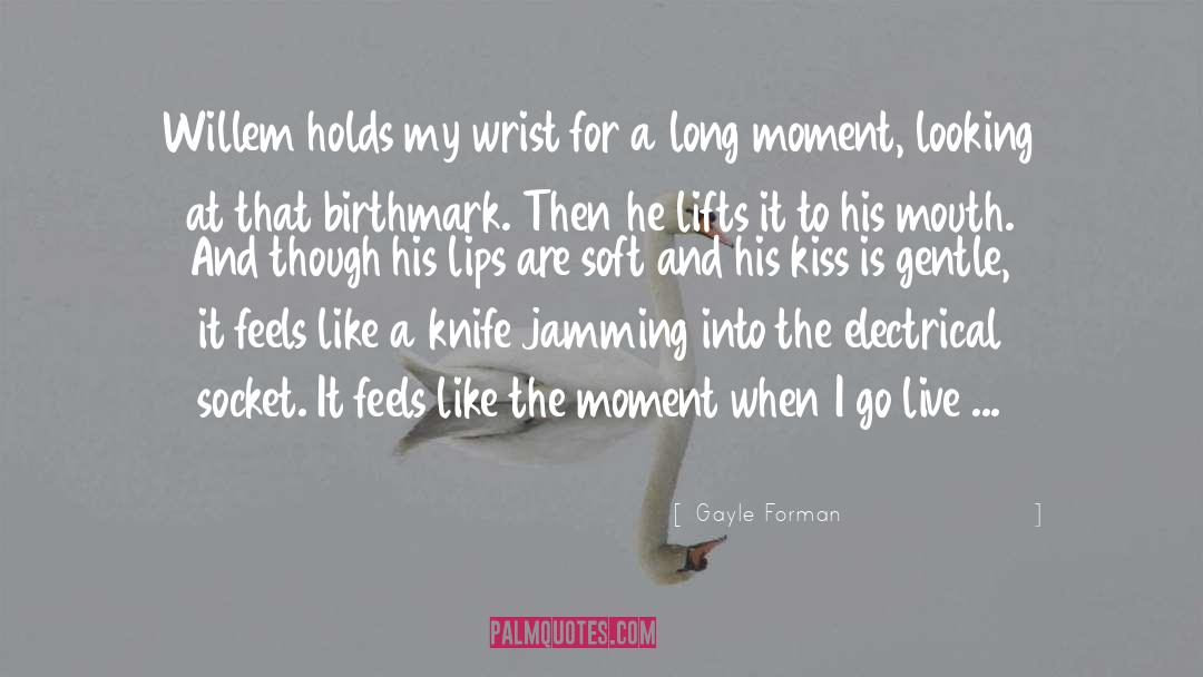 Gayle Forman Quotes: Willem holds my wrist for