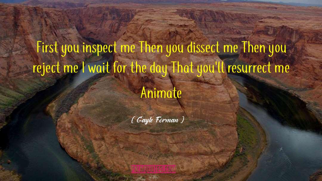 Gayle Forman Quotes: First you inspect me Then