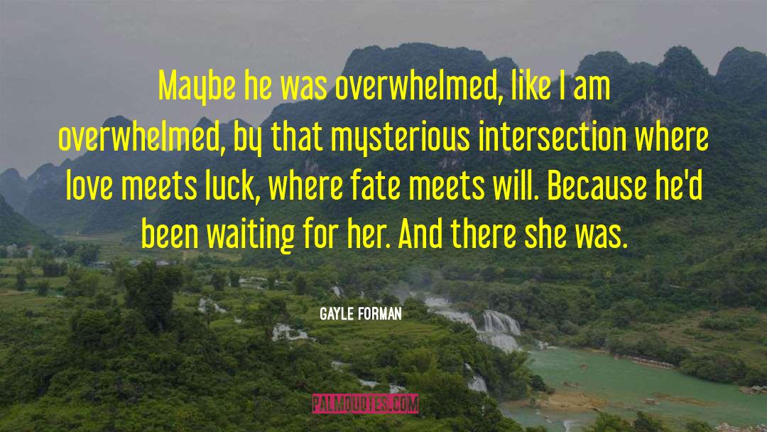 Gayle Forman Quotes: Maybe he was overwhelmed, like