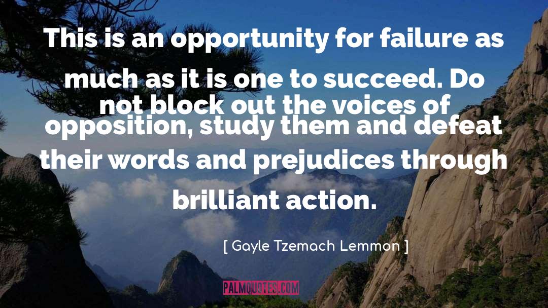 Gayle Tzemach Lemmon Quotes: This is an opportunity for