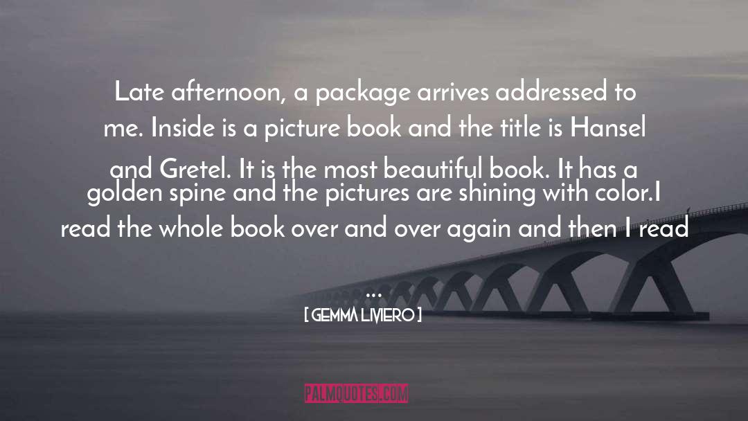 Gemma Liviero Quotes: Late afternoon, a package arrives