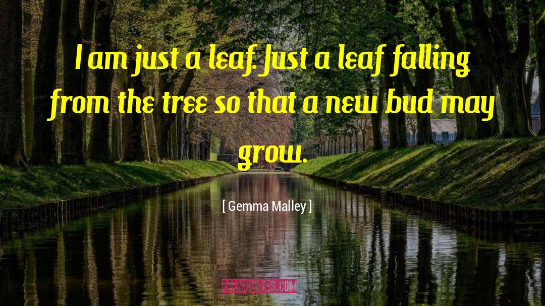 Gemma Malley Quotes: I am just a leaf.