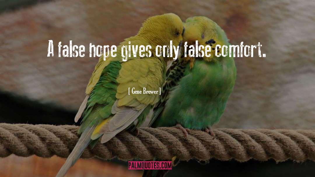 Gene Brewer Quotes: A false hope gives only