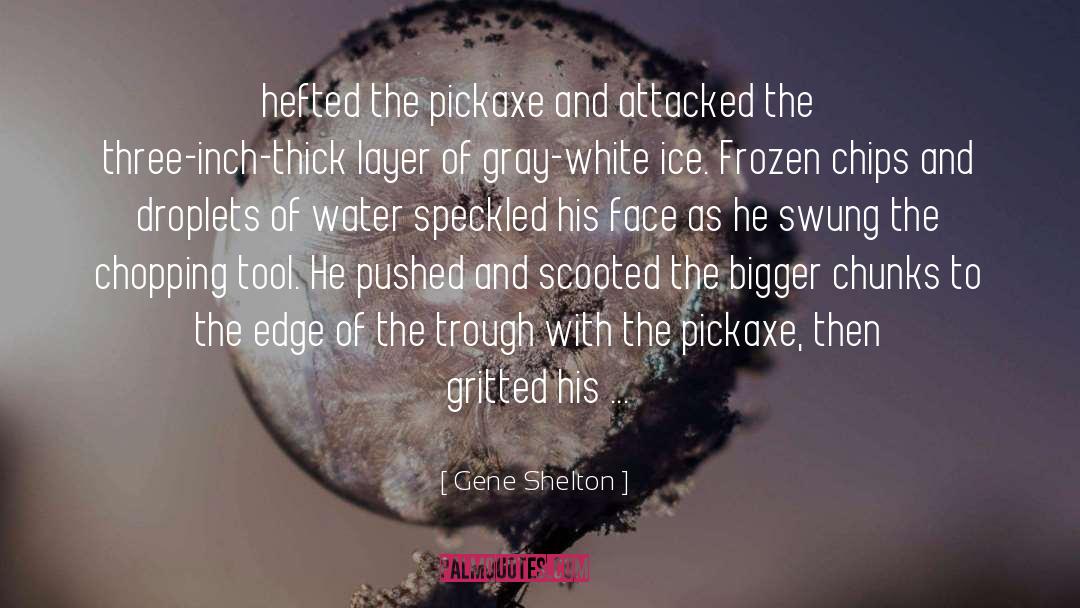 Gene Shelton Quotes: hefted the pickaxe and attacked