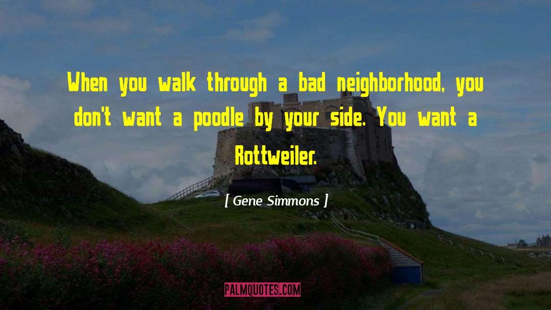 Gene Simmons Quotes: When you walk through a