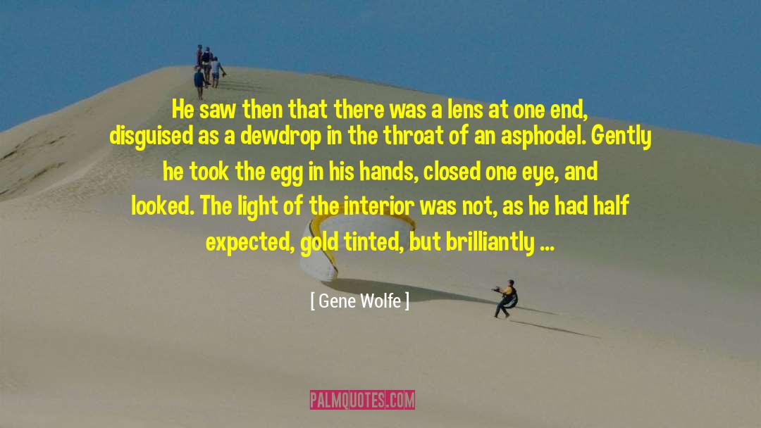 Gene Wolfe Quotes: He saw then that there
