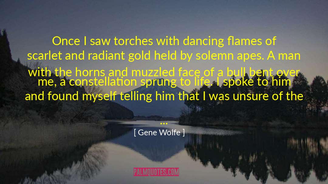 Gene Wolfe Quotes: Once I saw torches with
