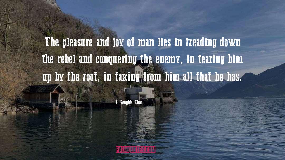 Genghis Khan Quotes: The pleasure and joy of