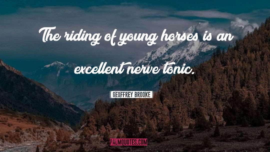 Geoffrey Brooke Quotes: The riding of young horses
