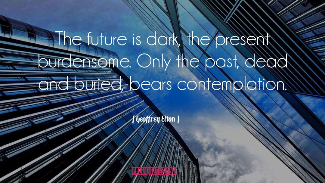 Geoffrey Elton Quotes: The future is dark, the